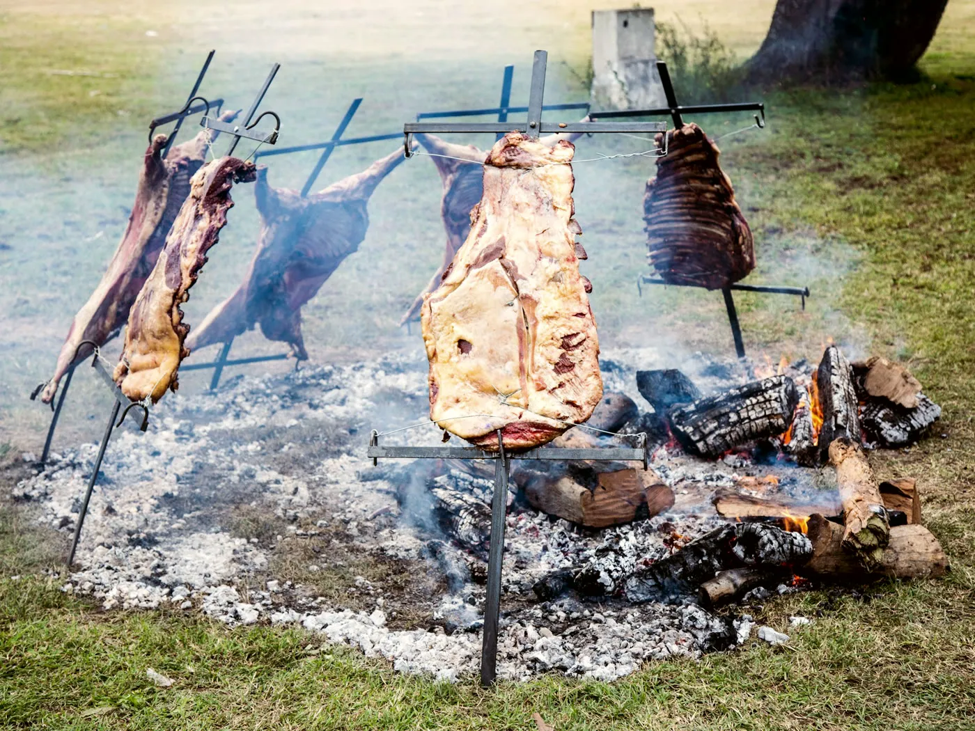 Fire & asado