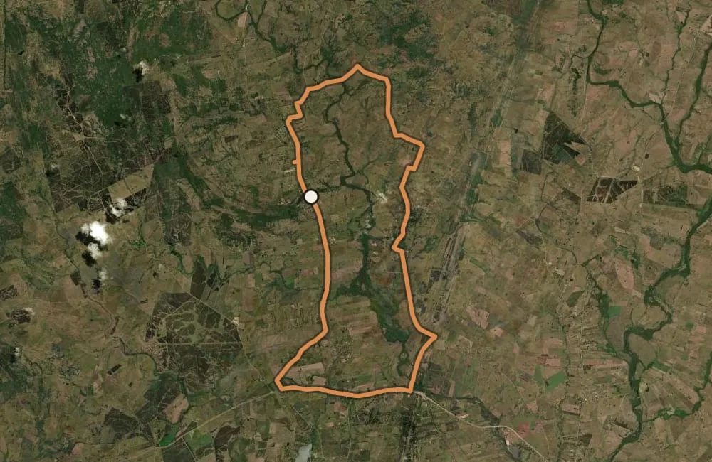 Day 4 · Rest day — Recovery Spin